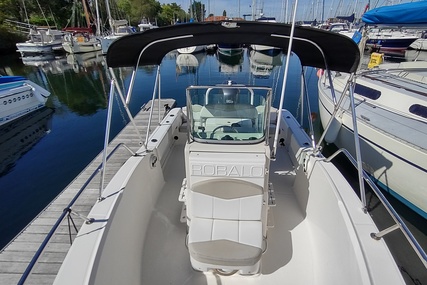 Robalo R180