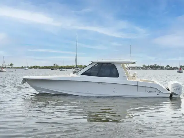 Boston Whaler 380 Realm