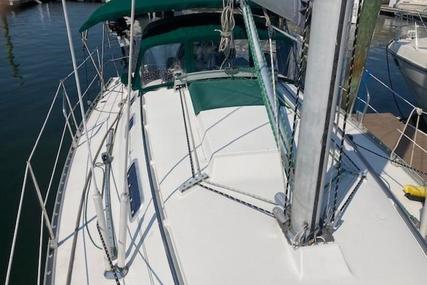 Beneteau Oceanis 300