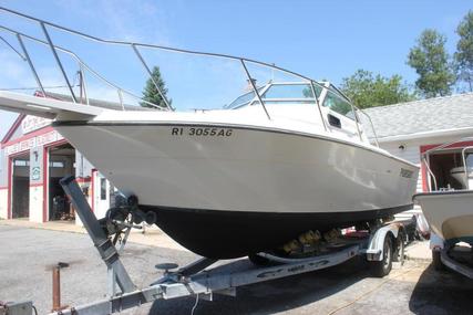 Pursuit 2600 Tiara