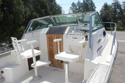 Pursuit 2600 Tiara