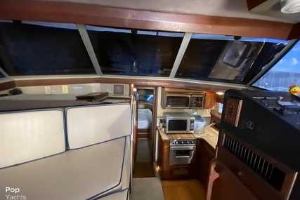 Bayliner 3870 Explorer