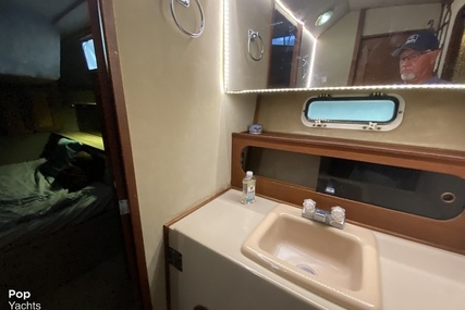 Bayliner 3870 Explorer