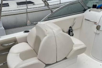 Robalo 227 Dual Console