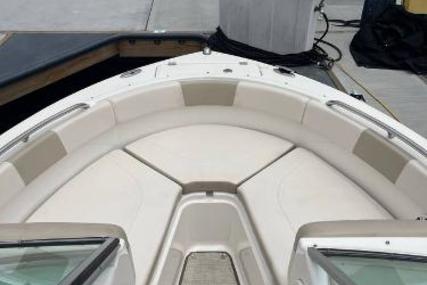 Robalo 227 Dual Console