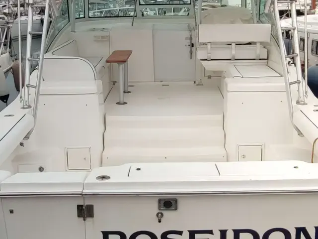 Luhrs 36 Open