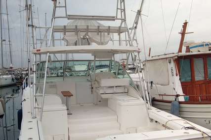 Luhrs 36 Open