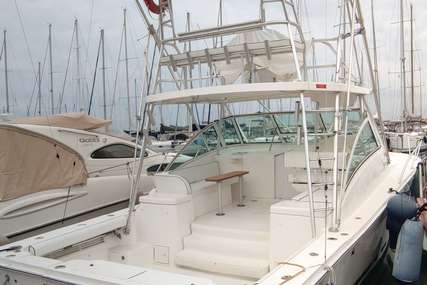 Luhrs 36 Open