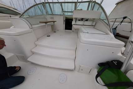 Luhrs 36 Open