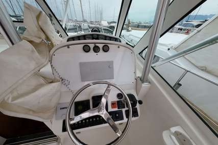 Luhrs 36 Open