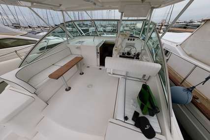 Luhrs 36 Open