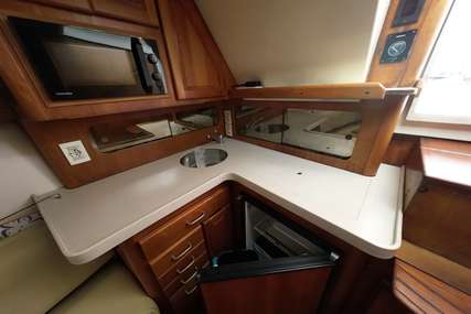 Luhrs 36 Open