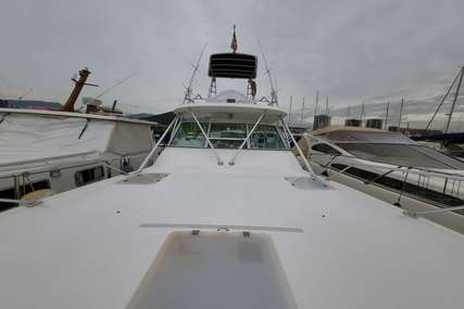 Luhrs 36 Open