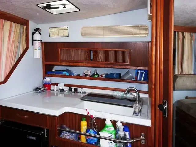 Sea Ray 300 Sundancer