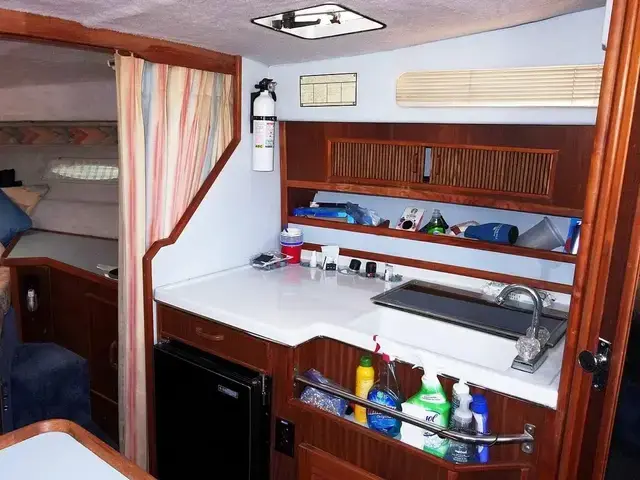 Sea Ray 300 Sundancer