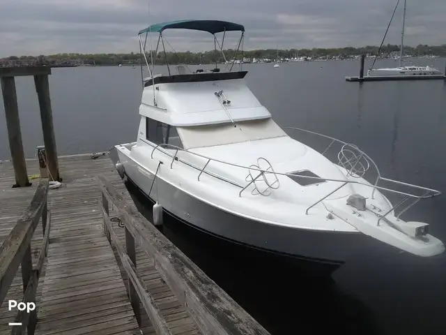 Silverton 312 Convertible