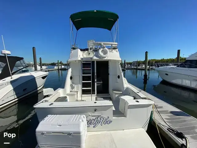 Silverton 312 Convertible