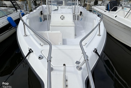 Seaswirl 2100 CC Striper