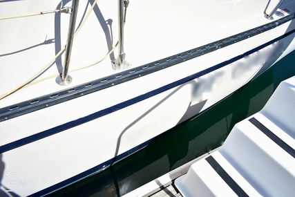 Lancer Boats 29 Powersailer