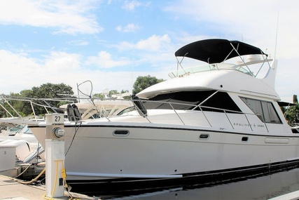 Bayliner 3988 Command Bridge Motor Yacht