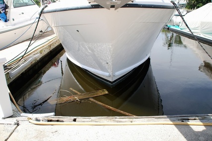 Bayliner 3988 Command Bridge Motor Yacht