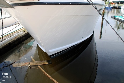 Bayliner 3988 Command Bridge Motor Yacht