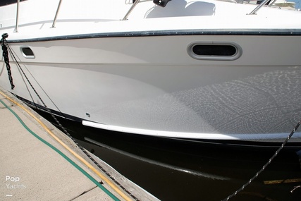 Bayliner 3988 Command Bridge Motor Yacht