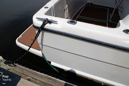 Bayliner 3988 Command Bridge Motor Yacht