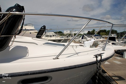 Bayliner 3988 Command Bridge Motor Yacht