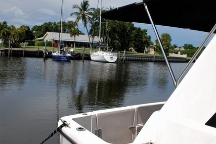 Bayliner 3988 Command Bridge Motor Yacht