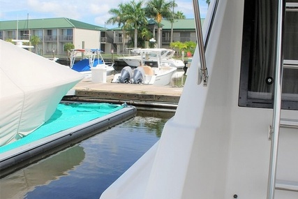 Bayliner 3988 Command Bridge Motor Yacht