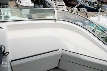 Bayliner 3988 Command Bridge Motor Yacht