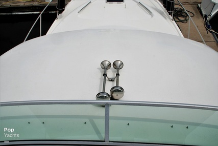 Bayliner 3988 Command Bridge Motor Yacht