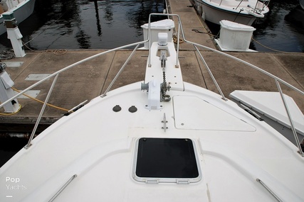 Bayliner 3988 Command Bridge Motor Yacht