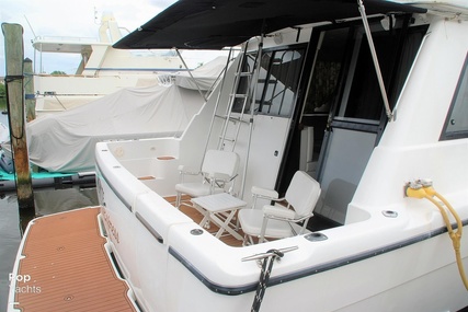 Bayliner 3988 Command Bridge Motor Yacht