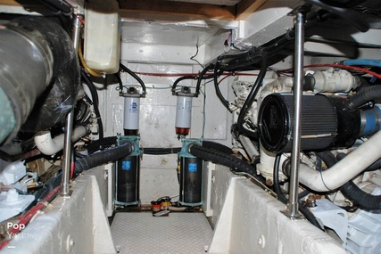 Bayliner 3988 Command Bridge Motor Yacht