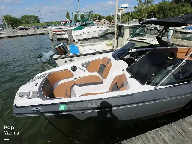 Scarab 255