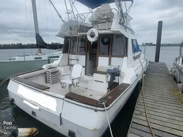 Bayliner 3460