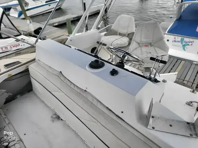 Bayliner 3460