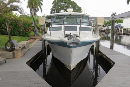 Baha Cruisers 310 Sport Fisherman