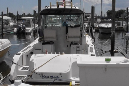 Seaswirl Striper 2601 Alaska