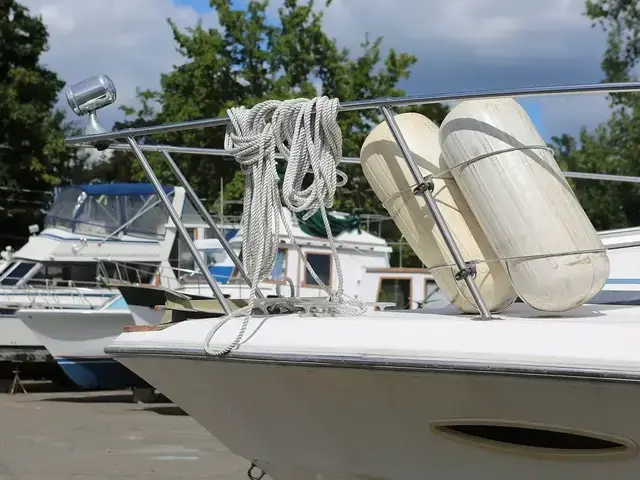 Sea Ray 340 Express Cruiser