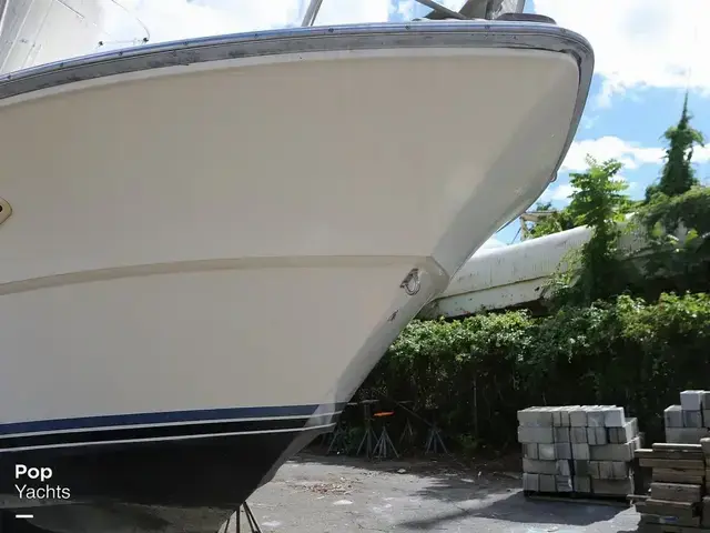 Sea Ray 340 Express Cruiser