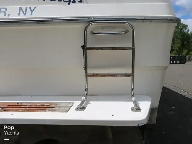 Sea Ray 340 Express Cruiser