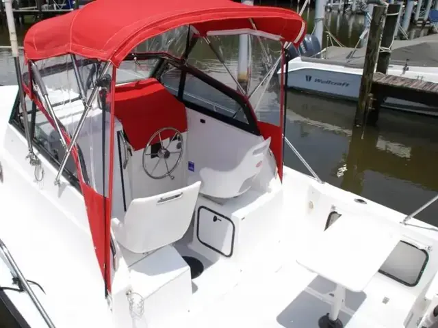 Boston Whaler 21 Walkaround