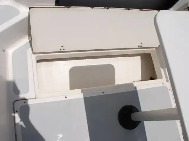 Boston Whaler 21 Walkaround