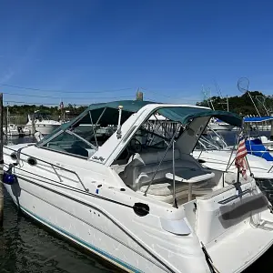 1994 Sea Ray Sundancer 290