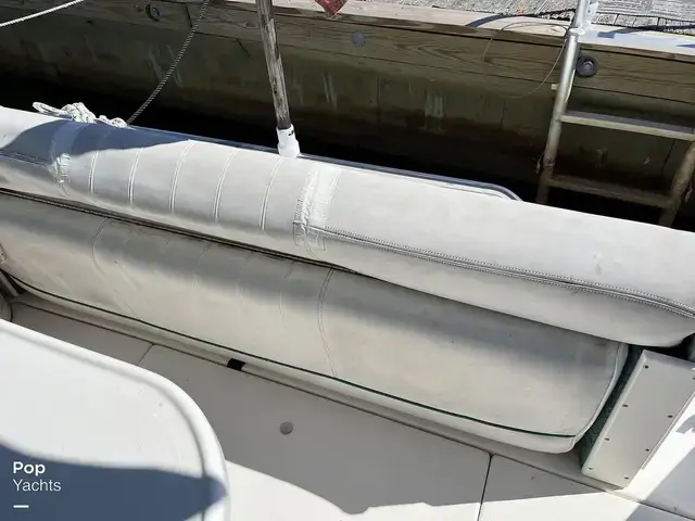 Sea Ray 290 Sundancer