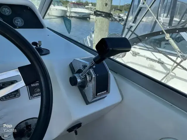 Sea Ray 290 Sundancer