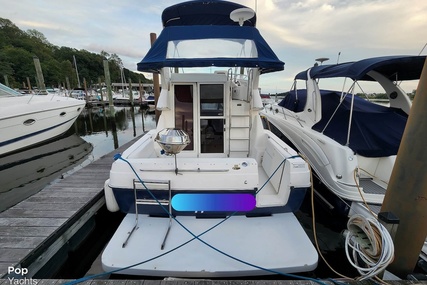 Bayliner 288 Discovery